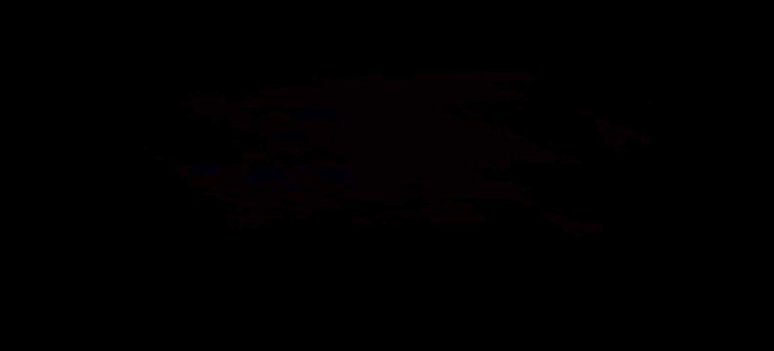 火焰纹章 - 封印之剑[狼组&火花天龙剑](v20060906)(简)(JP)(64Mb)